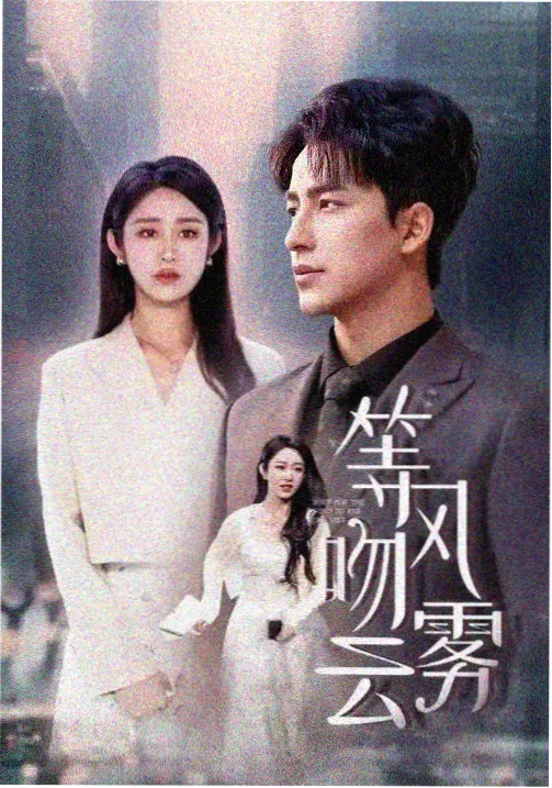 汉江以南 剧集海报